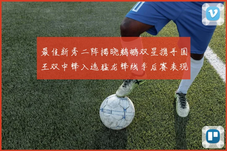 最佳新秀二阵揭晓鹈鹕双星携手国王双中锋入选猛龙锋线季后赛表现抢眼